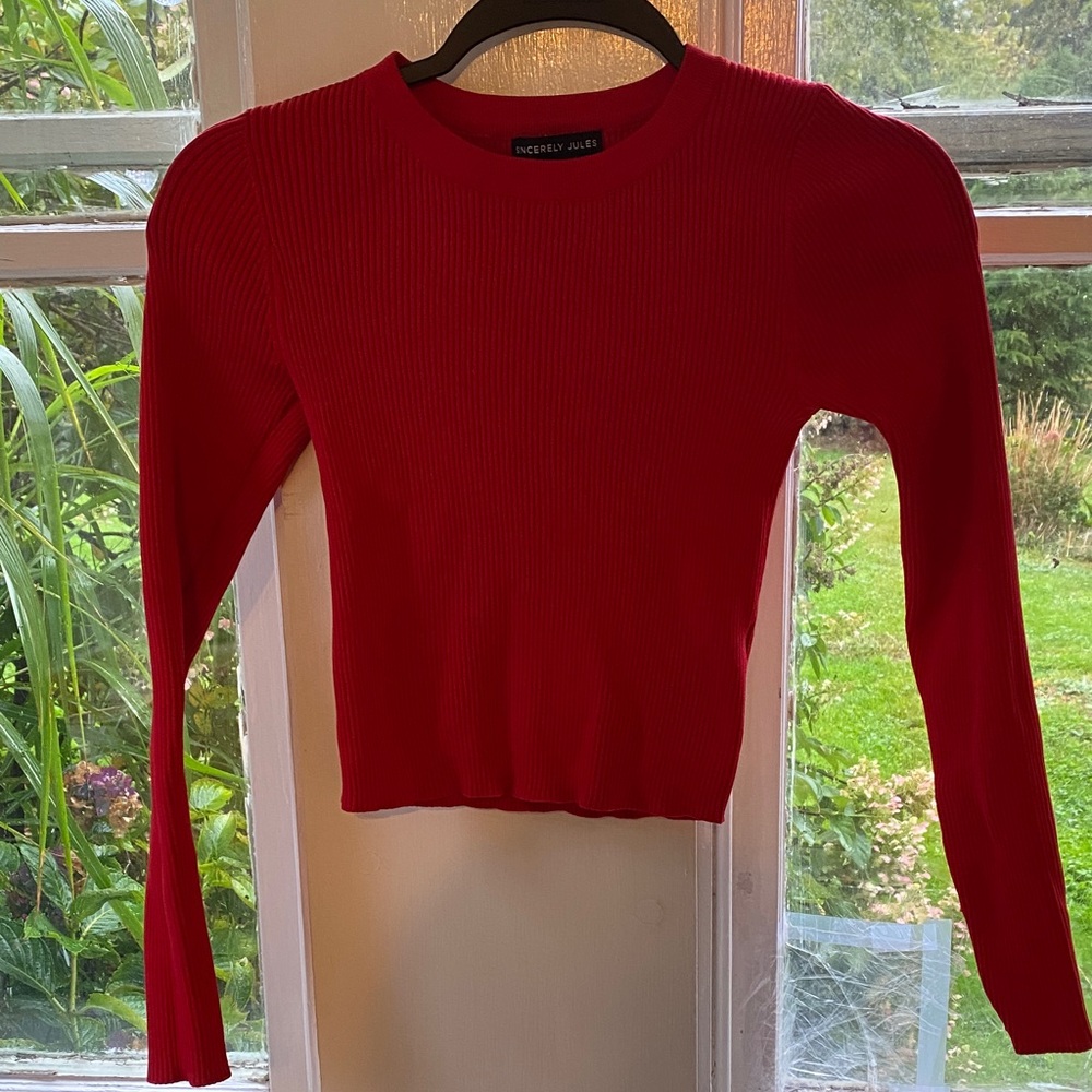 Sincerely Jules Red Ribbed Crop Top